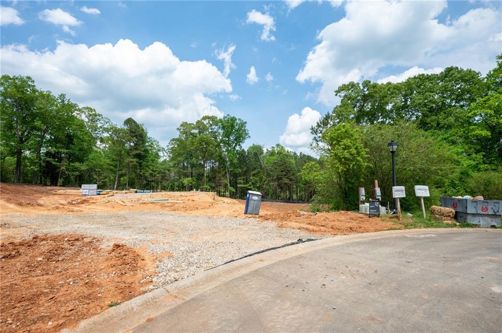 365 Riverboat Drive, Adairsville, Georgia image 9