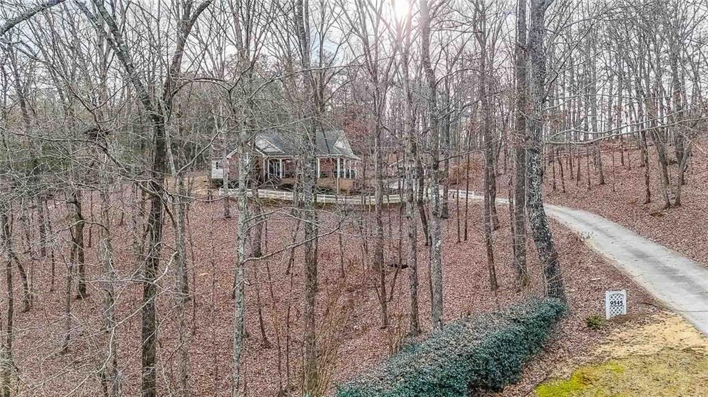 9545 Grande Drive, Winston, Georgia image 43