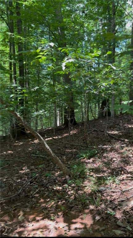 Vacant Land For Sale - 2291 Autumn Drive<br/> Hall County, Gainesville, GA 30507
