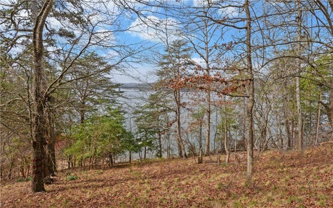 Vacant Land For Sale - 2290 Boy Scout Camp Road<br/> Gainesville, GA 30501