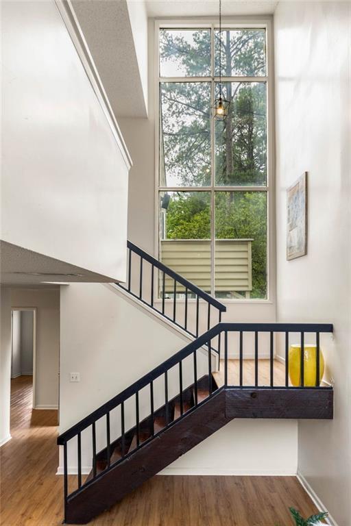 662 Serramonte Drive