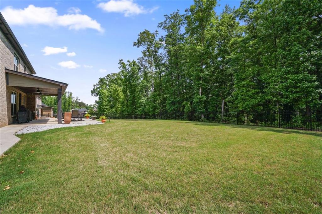 317 Basel Way, Hampton, Georgia image 47