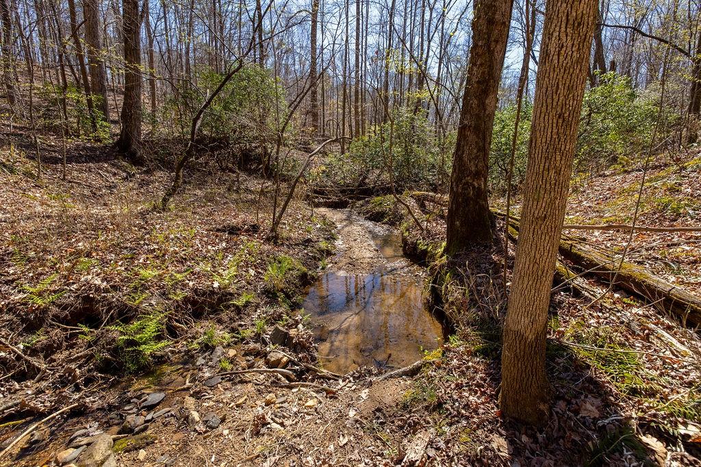 Barefoot Road, Lula, Georgia image 32