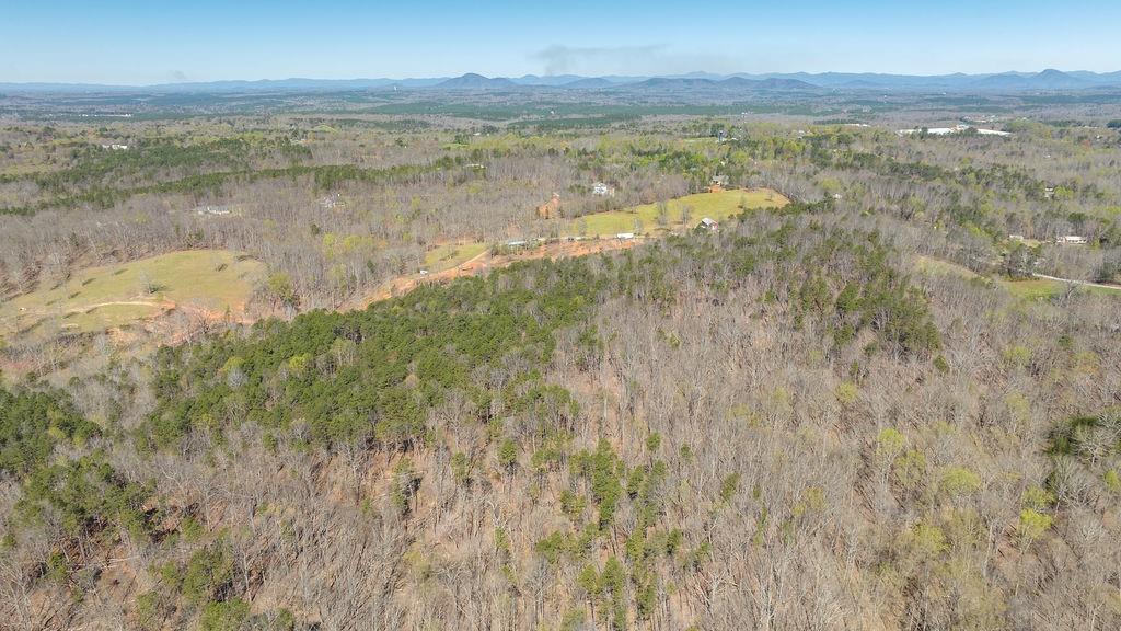 Barefoot Road, Lula, Georgia image 9