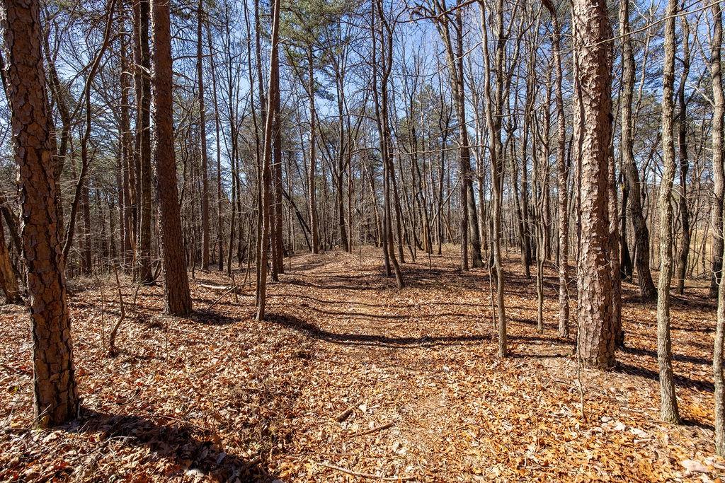 Barefoot Road, Lula, Georgia image 28