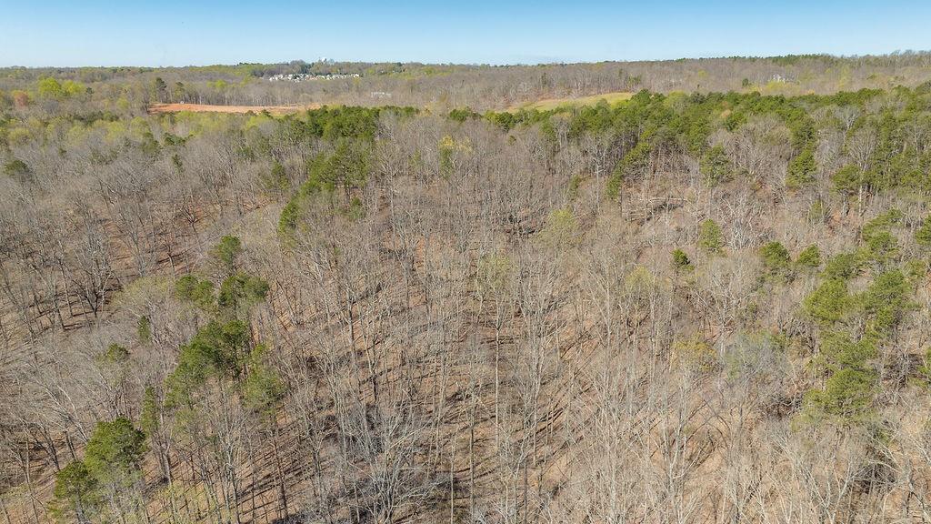 Barefoot Road, Lula, Georgia image 18