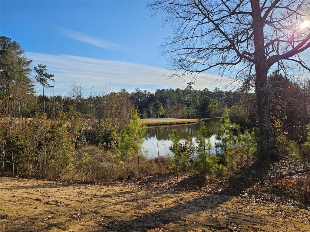 208 Trellis Walk, Macon, Georgia image 5