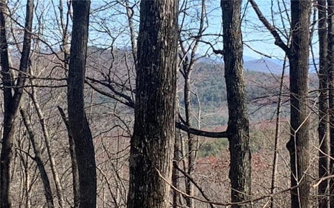Vacant Land For Sale - 102 Badger Road<br/> Union County, Blairsville, GA 30512