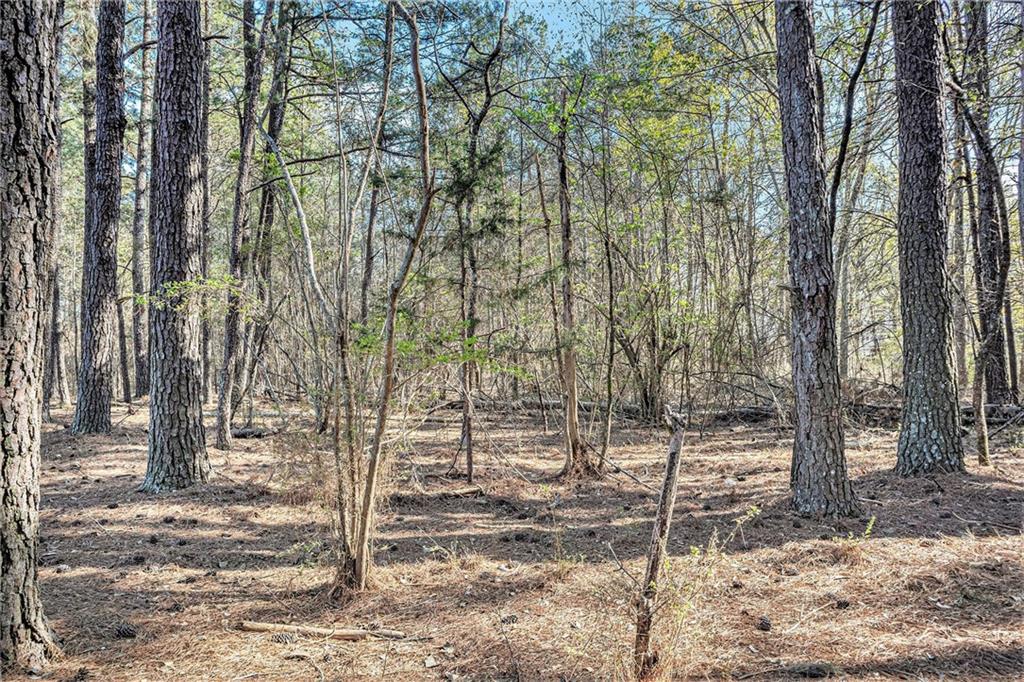 681 County Line Auburn Road, Winder, Georgia image 7