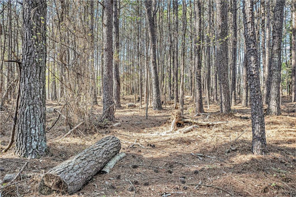 681 County Line Auburn Road, Winder, Georgia image 9