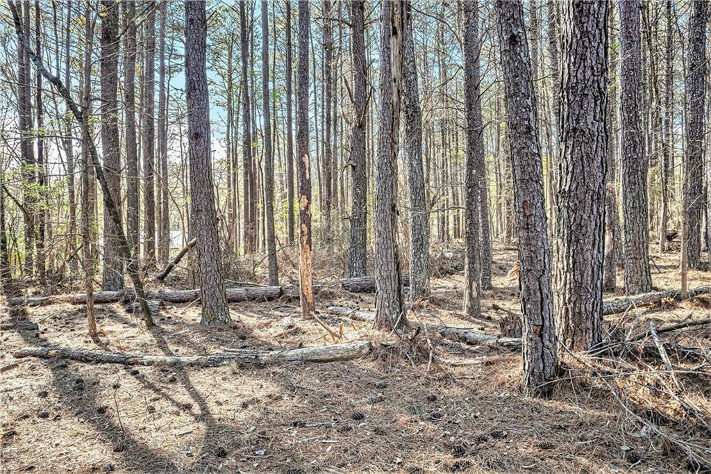 681 County Line Auburn Road, Winder, Georgia image 8