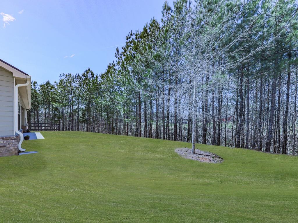 378 Carmichael Circle, Canton, Georgia image 38