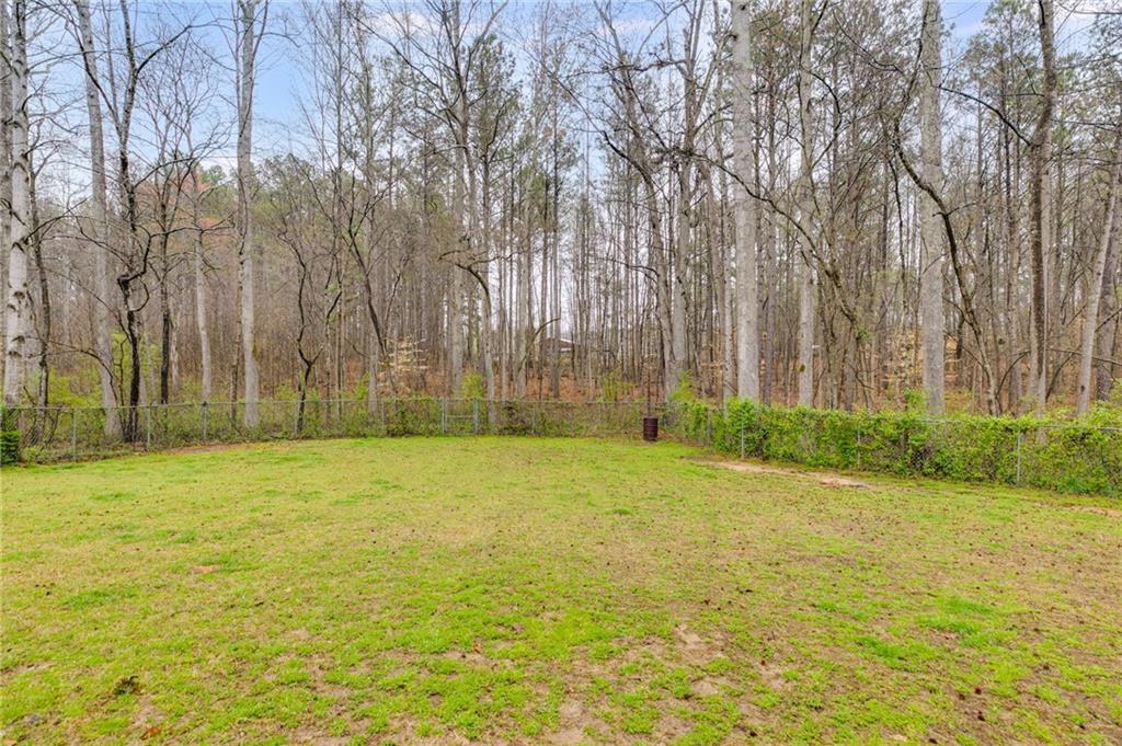 118 Hunters Place, Villa Rica, Georgia image 27
