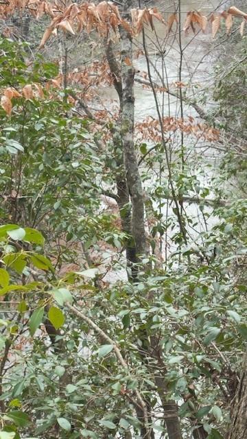 00Lot3 N Helton Road