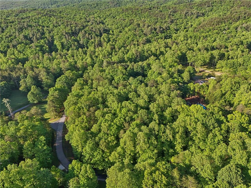 43 Smith Circle, Dawsonville, Georgia image 7