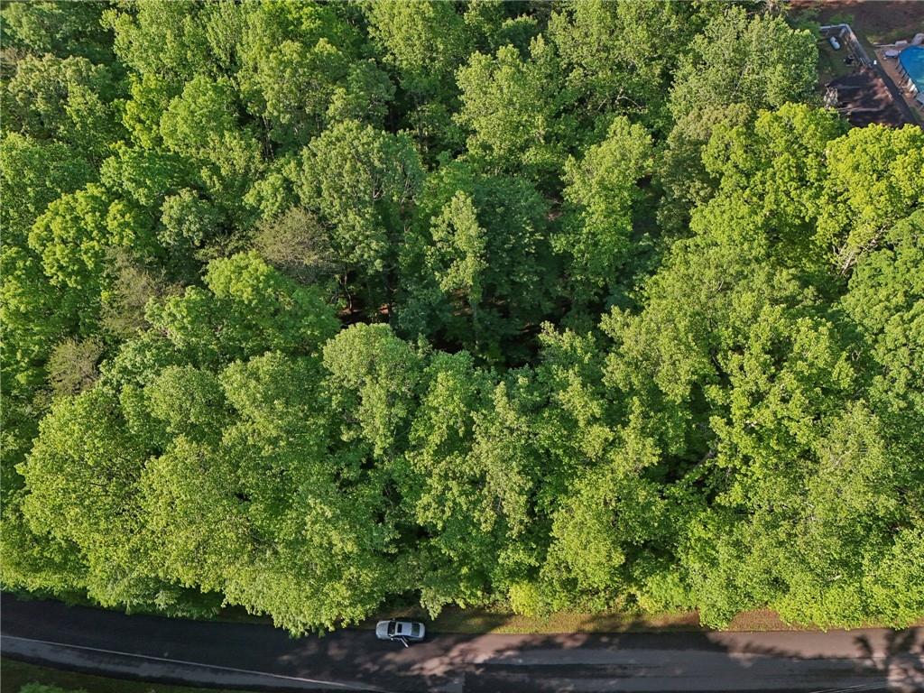 43 Smith Circle, Dawsonville, Georgia image 18