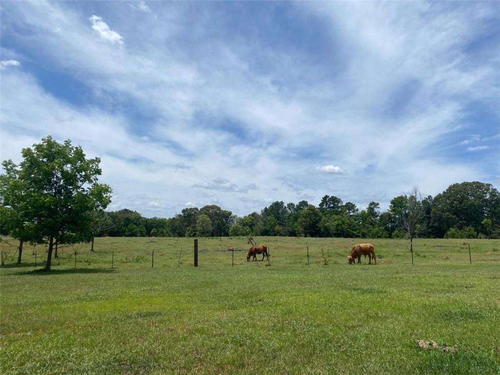 2300 Rock Eagle Road, Monticello, Georgia image 8