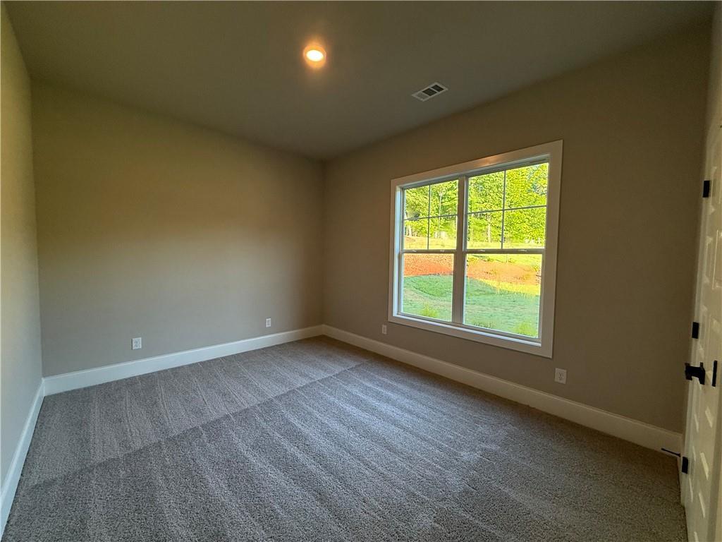 380 Hidden Trail, Pendergrass, Georgia image 47