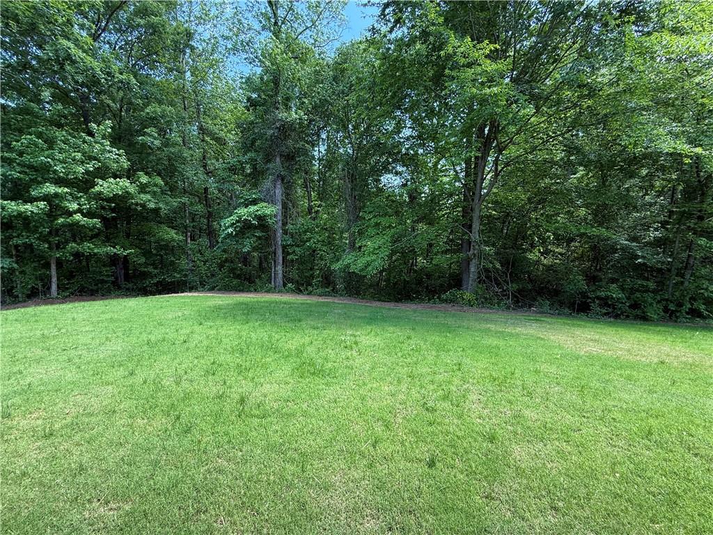 380 Hidden Trail, Pendergrass, Georgia image 29