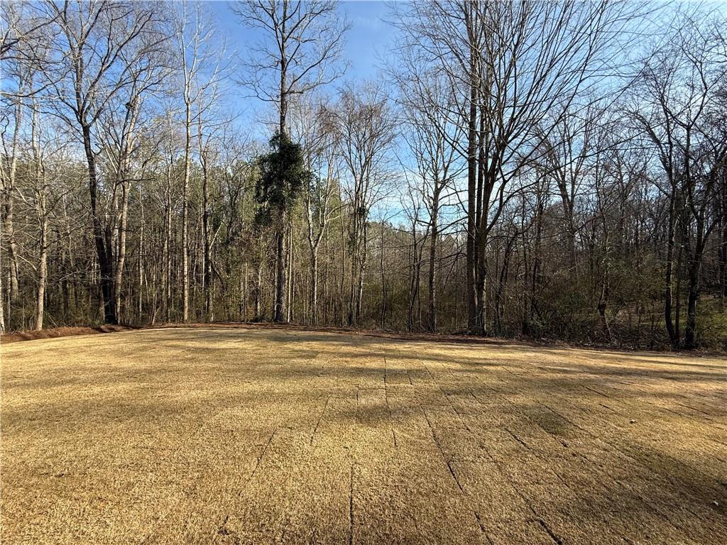 380 Hidden Trail, Pendergrass, Georgia image 8