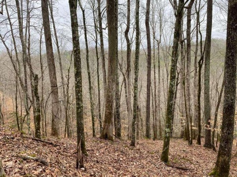 Vacant Land For Sale - 4AC Scenic Way<br/> Gilmer County, Ellijay, GA 30540