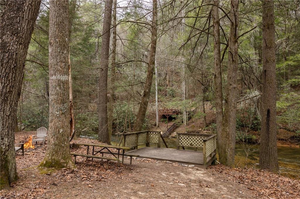 101 Nellies Big Fish Road, Suches, Georgia image 45