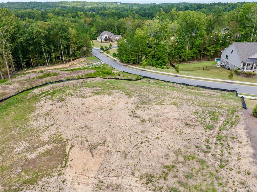 1066 Carl Sanders Drive, Acworth, Georgia image 8