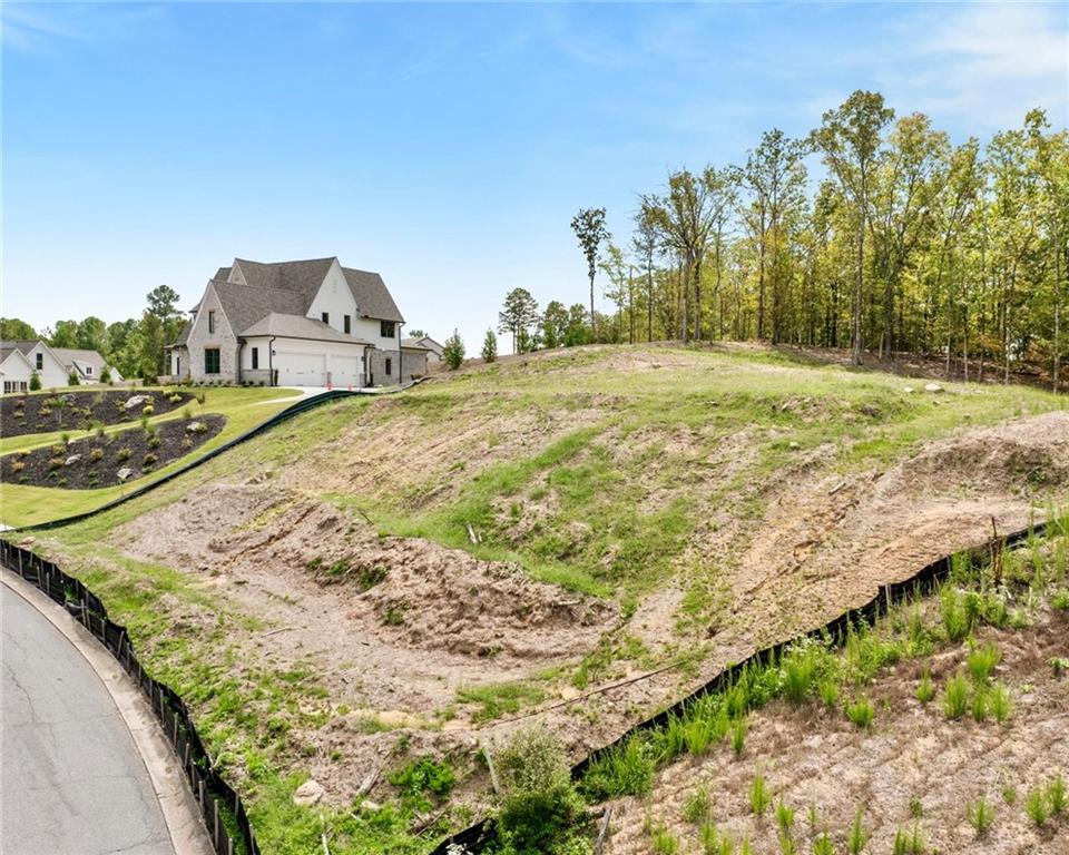 1066 Carl Sanders Drive, Acworth, Georgia image 7
