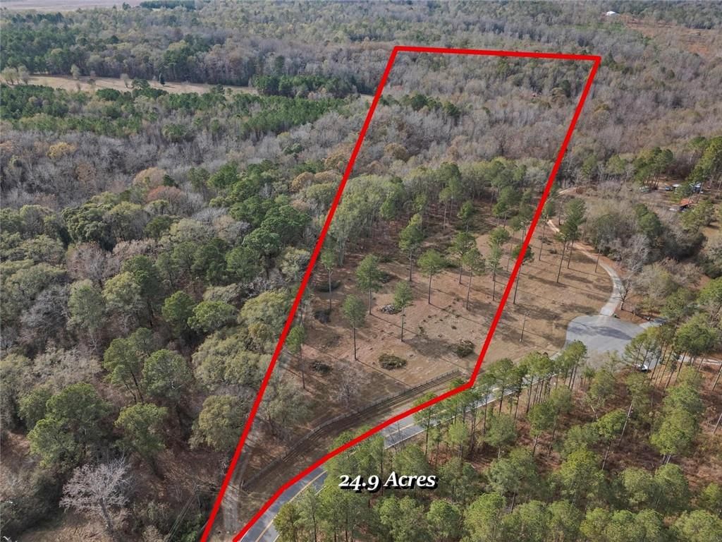 Photo of 350 Lee Paul Road, Hawkinsville, GA 31036 (MLS # 7704621)