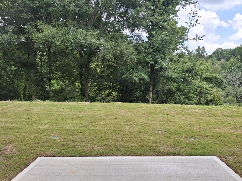 2865 Bullfrog Lane Lot 169