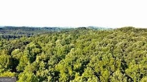 Vacant Land For Sale - 6280 Dawsonville Highway<br/> Dawsonville, GA 30534