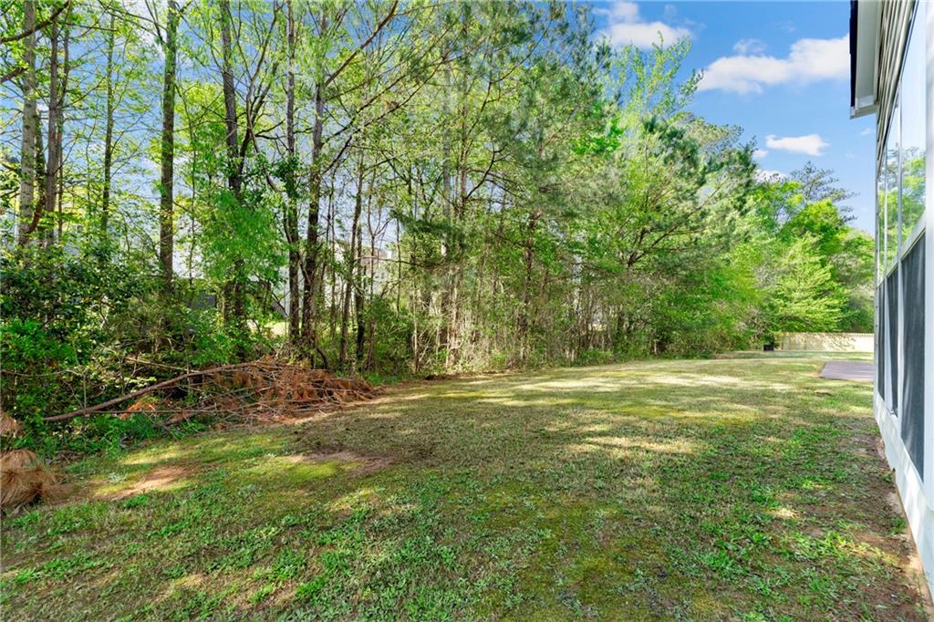3889 Elm Trace Drive, Loganville, Georgia image 38