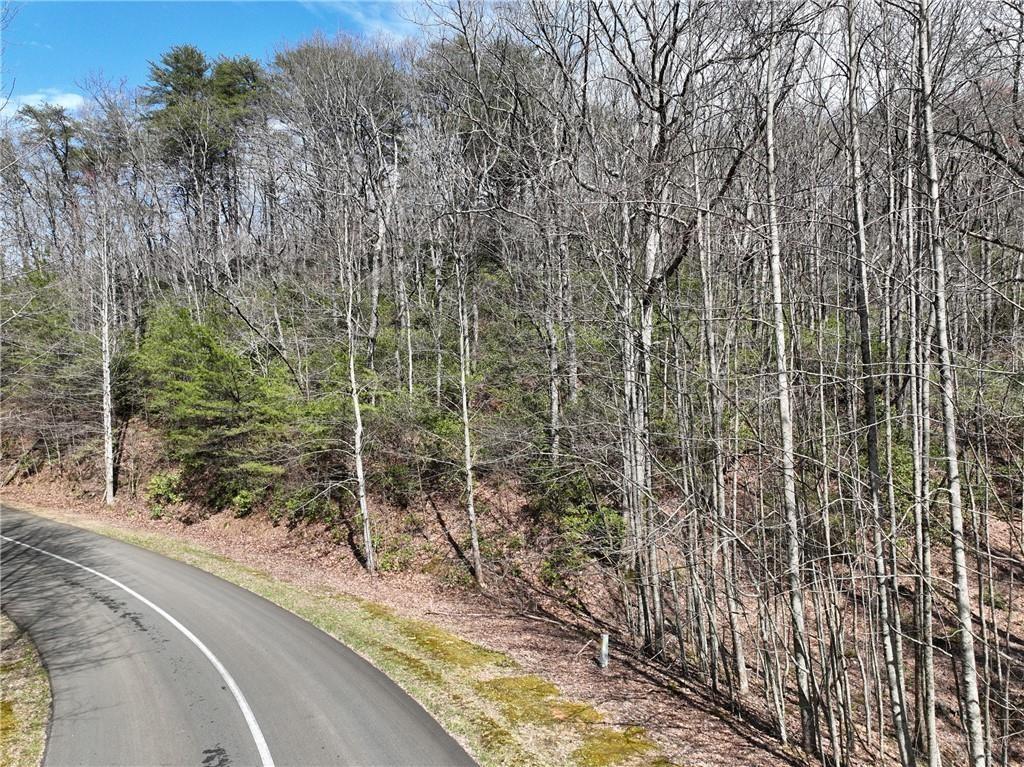 Private 3 Acre Mountain Lot in Luxury Gated Community. This beautiful upsloping lot has at least 2 wonderful flat to gentle building sites. Seasonal close mountain views. The right side of this lot potentially allows for a nice navigable driveway rounding the mountain to a flat spot near the front of the property. Or continue the driveway up the mountain to another flat area where you feel like you are among the treetops with seasonal mountain views. Additional adjacent lots are available for sale for even more privacy and elbow room including year-round natural springs. Okay to buy now and build later. Electric, phone, cable, and high speed internet at road. Check out the topo map in photos. Close to orchards, wineries, and hiking. Approx 20-25 minutes to Jasper or Ellijay. GATED, HOA, 2000 min, no rentals. all buyers must be with an agent per HOA. Terrain parcel line photos are an approximation only.