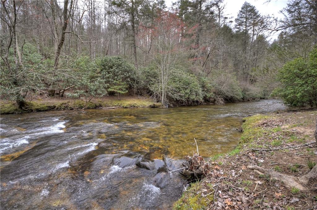 324 Cooper Creek Drive