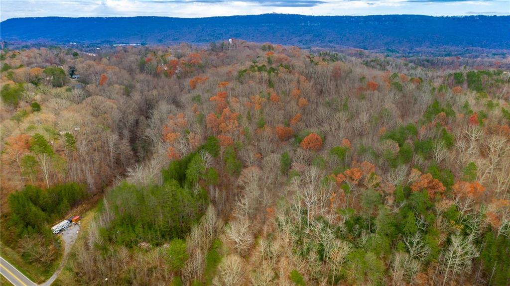 Slygo Road, Wildwood, Georgia image 3