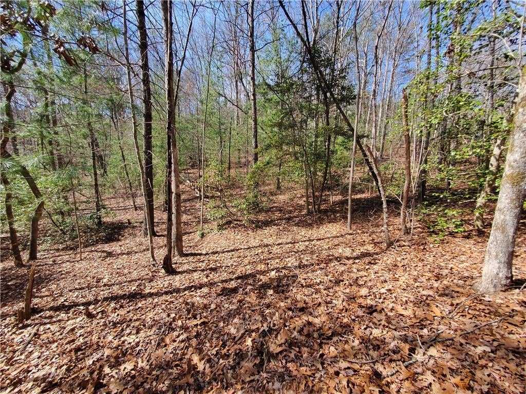 Lot 41 Trails End