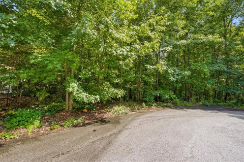 Vacant Land For Sale - 194 Gina Drive<br/> Carrollton, GA 30116