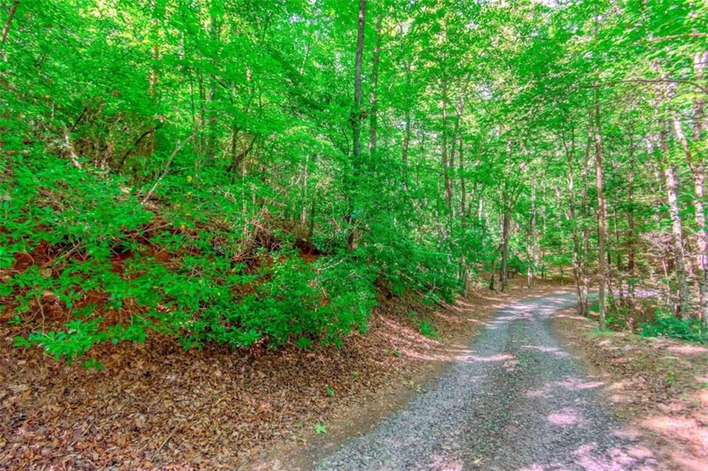 LOT 10 Cashes Valley Lane, Blue Ridge, Georgia image 8