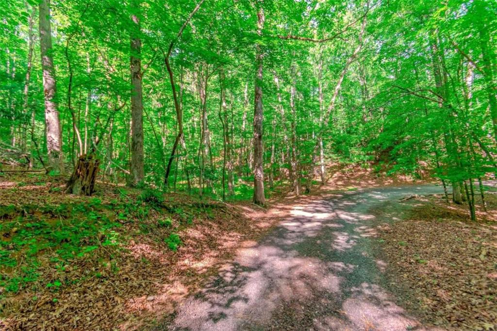 LOT 10 Cashes Valley Lane, Blue Ridge, Georgia image 11