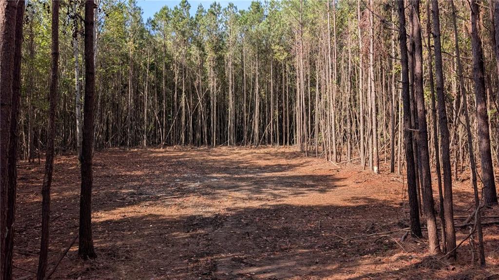 Photo of 2446 Soap Creek Rd, Ball Ground, GA 30107 (MLS # 7840945)