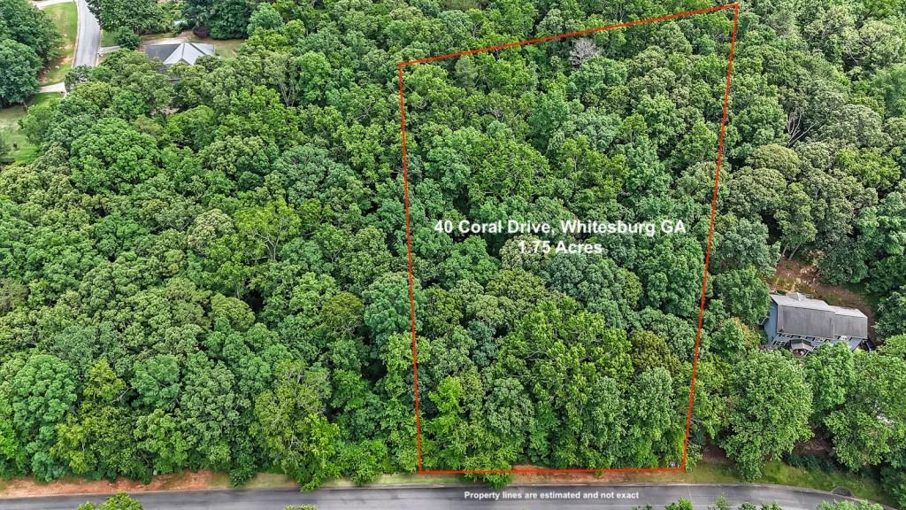 40 Coral Drive, Whitesburg, Georgia image 1
