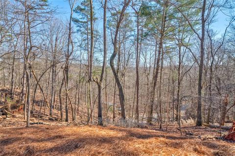 A home in Ellijay