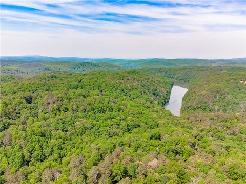 A home in Ellijay