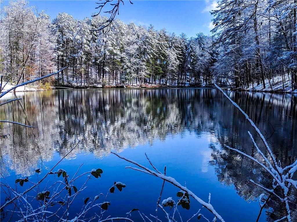 3044 Cypress Cove