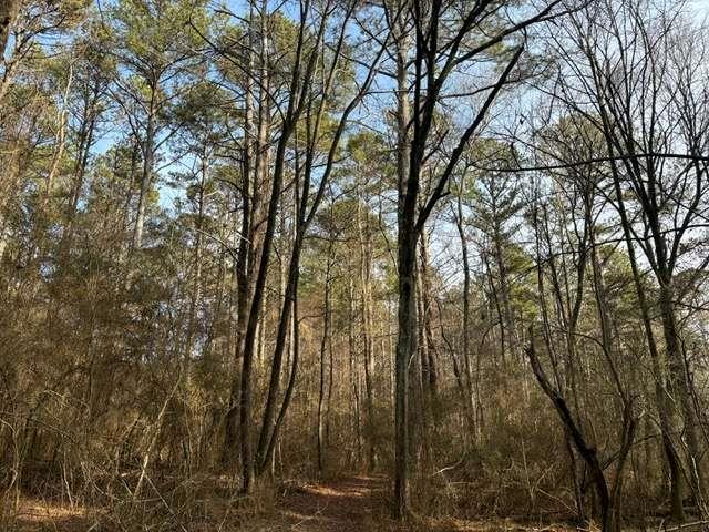Great building lot of just over 9 acres on Mt. Zion Road. The lot is set up to have a great front yard with hardwoods in the back. Over 300 feet of road frontage on Mt. Zion Road. Conveniently located between Carrollton and Bremen, and just under 6 miles from I-20. There is one adjoining additional tract of land available with road frontage on Pitts Road.
