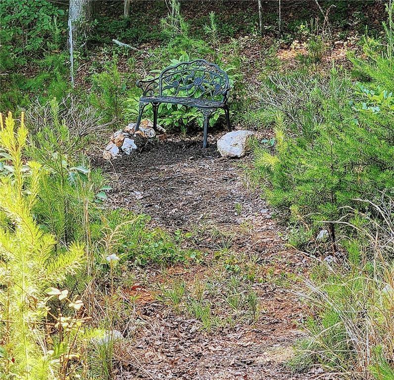 400 Wildlife Trail, Dahlonega, Georgia image 37