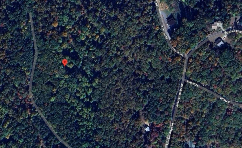 1009 N Cut Drive