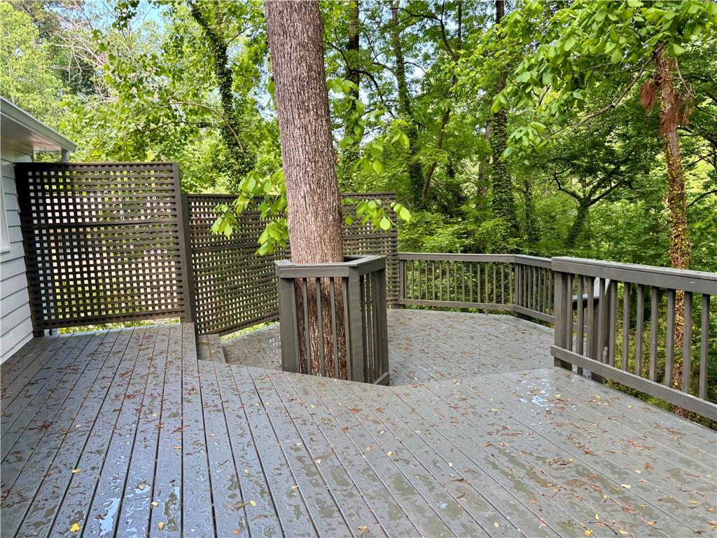1230 Sunderland Court, Brookhaven, Georgia image 50