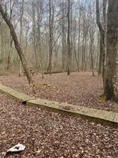 LOT2 Summit Pass, Chatsworth, Georgia image 8