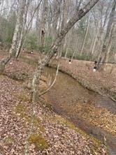 LOT2 Summit Pass, Chatsworth, Georgia image 10